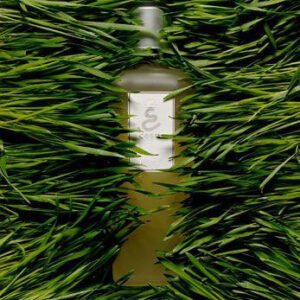 Gommage « Essence Crue »